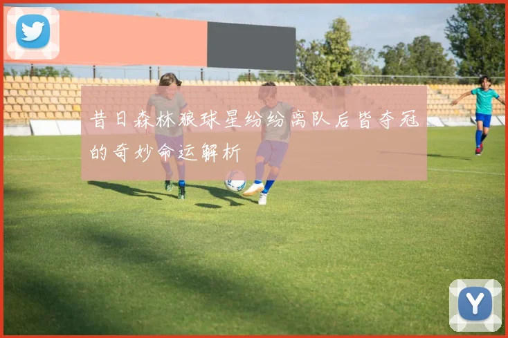 昔日森林狼球星纷纷离队后皆夺冠的奇妙命运解析