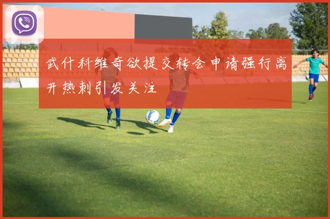 武什科维奇欲提交转会申请强行离开热刺引发关注